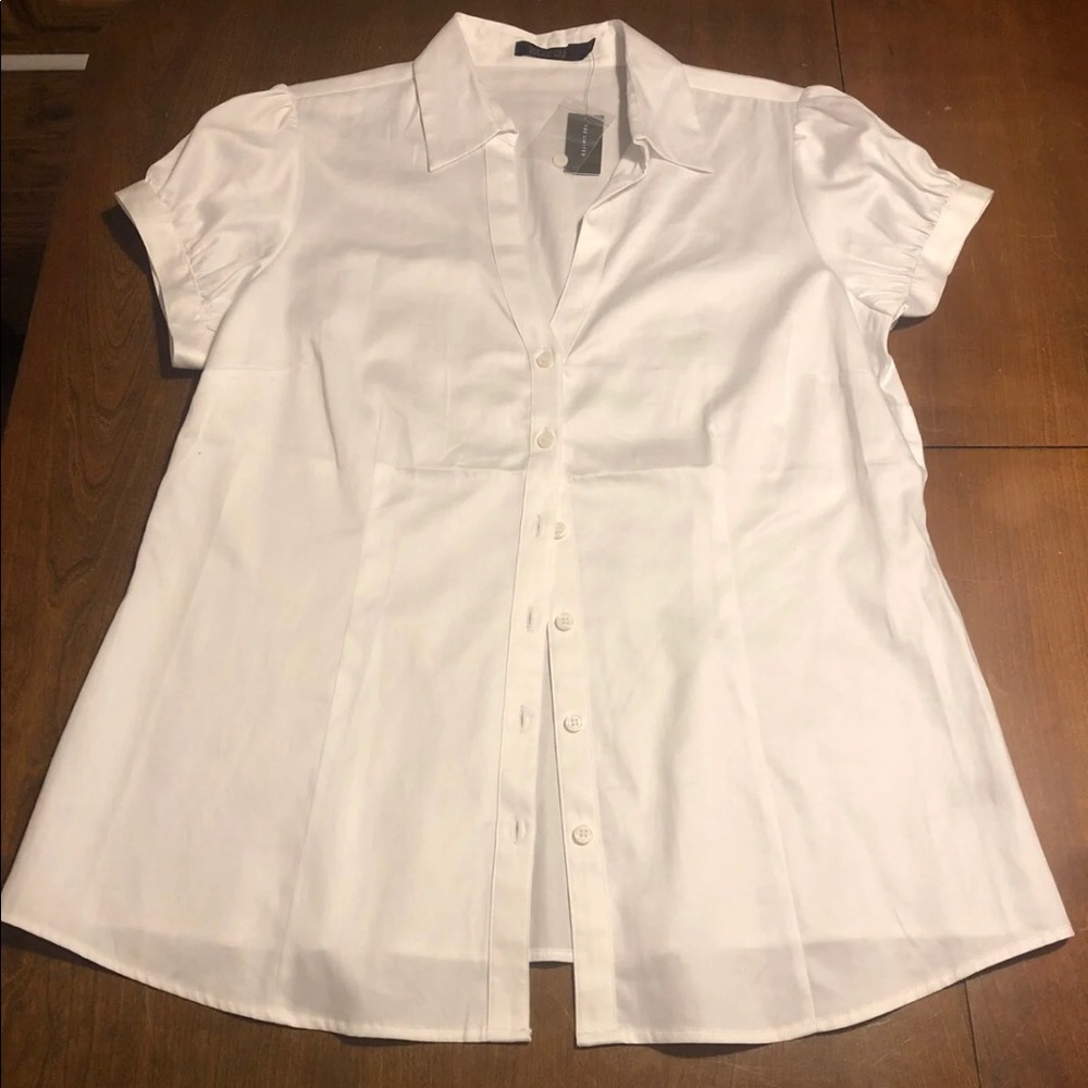 The Limited Blouse